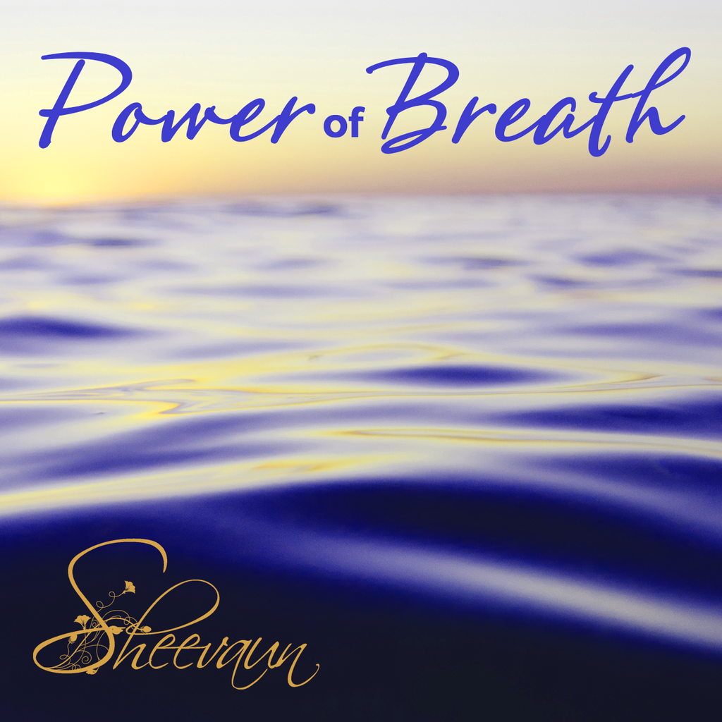 Power of Breath - Energetic Solutions, Inc Sheevaun Moran